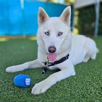 Thumbnail photo of Finley #2