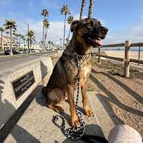 Thumbnail photo of Buddie #2