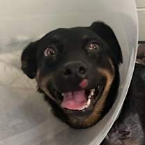 Thumbnail photo of Bannock #1