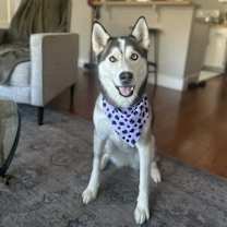 Thumbnail photo of Nahla #1