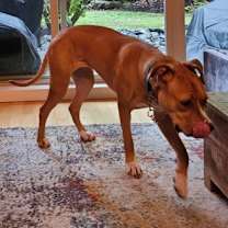 Thumbnail photo of Carly #2