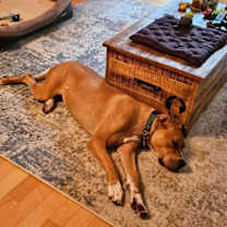 Thumbnail photo of Carly #3