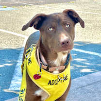 Thumbnail photo of WILMA #3