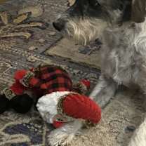 Thumbnail photo of Cooper #3