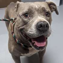 Thumbnail photo of Moochi #2