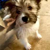 Thumbnail photo of MO #2