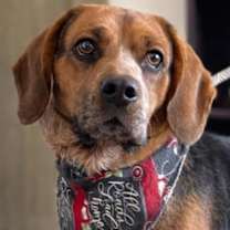 Thumbnail photo of Boomer #1