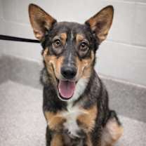 Thumbnail photo of Zipper #3