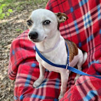 Thumbnail photo of Jaron #1