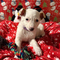 Thumbnail photo of Malta #1