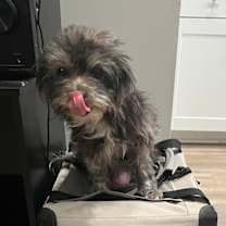 Thumbnail photo of Dorothy  #2