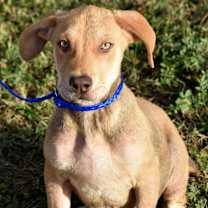 Thumbnail photo of Jetter #2