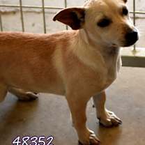 Thumbnail photo of Pickles #2