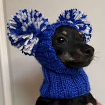 Thumbnail photo of Hashbrown #4