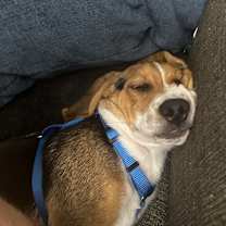 Thumbnail photo of Benson #4