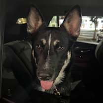 Thumbnail photo of Pablo #1