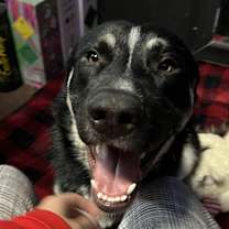 Thumbnail photo of Pablo #3