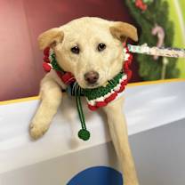 Thumbnail photo of Mira (H) #1