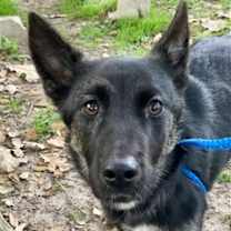 Thumbnail photo of Linda #1