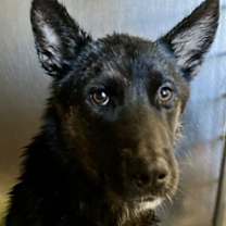 Thumbnail photo of Linda #3