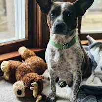 Thumbnail photo of Lucy aka Mona Lisa #1