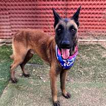 Thumbnail photo of Dishdash #4