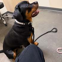 Thumbnail photo of Bear #2