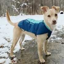 Thumbnail photo of Nube #2