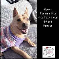 Thumbnail photo of Glory #1