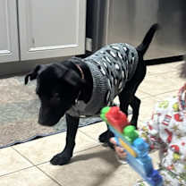 Thumbnail photo of Nick #3