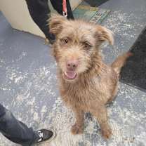 Thumbnail photo of Wilson #1