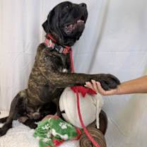 Thumbnail photo of Randolph #4