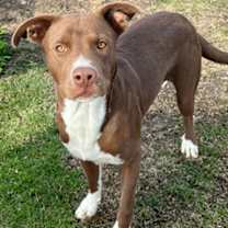 Thumbnail photo of Barkley #2