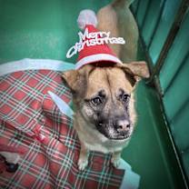 Thumbnail photo of Taeri (H) #1