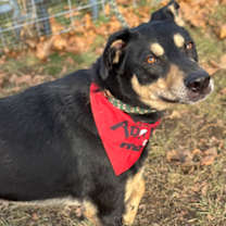 Thumbnail photo of Sunny #2