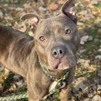 Thumbnail photo of Ladie #3