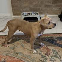 Thumbnail photo of Latto #2