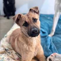 Thumbnail photo of Lemmy #1