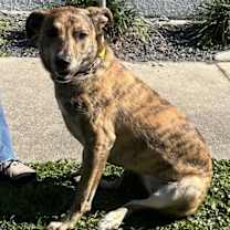 Thumbnail photo of Harmony #1