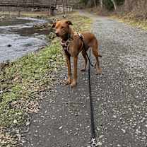 Thumbnail photo of Gretchen #2