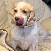 Thumbnail photo of Gladys #4