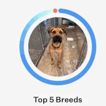 Thumbnail photo of Shaggy #2