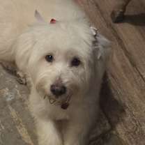 Thumbnail photo of Blanca #2