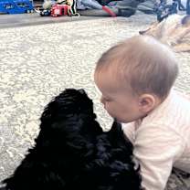 Thumbnail photo of Lomi #3