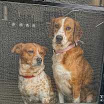 Thumbnail photo of Rachel #4