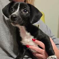 Thumbnail photo of Barrett #1