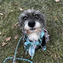 Thumbnail photo of Noelle #1