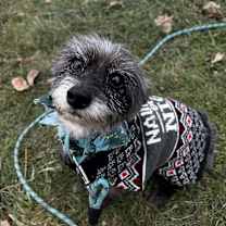 Thumbnail photo of Noelle #2