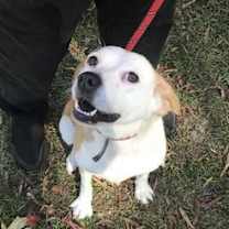 Thumbnail photo of Missy #8 #1