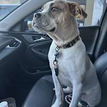 Thumbnail photo of Princeton #3